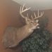 Corey Wilhelm - Facebook