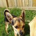 Cory Wood - Facebook