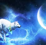 Cosmin Ene - Facebook