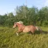 cosminpersa3 - @cosminpersa3 - TikTok