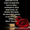 Cosmin Radu - @cosmin.radu3 - TikTok