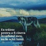 Cosmin Trif - @cosmin895 - Instagram