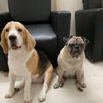 Bronco.Cosmo.Mafia - @bronco.cosmo.mafia - Instagram