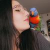 Cosmo - @cosmochavez160 - TikTok