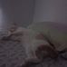 Cosmo Correa - Facebook