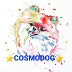 ГРУМИНГ-САЛОН  "COSMODOG" - @cosmodog.by - Instagram