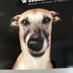 Angela Würth - @cosmodog_hundesalon - Instagram