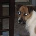 Cosmo Henderson - Facebook