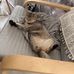 Cosmo Lai - Facebook