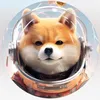 Laika.cosmodog - @laikacosmodogfuun - TikTok