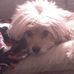 Cosmo Kramer Miller - Facebook