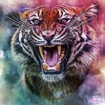 Cosmo Roberts - @cosmo19744 - Instagram