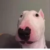 Cosmo Roberts - @mendeterjukingen - TikTok