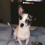 Cosmo  Smith - @cosmo_smith20 - Instagram