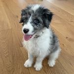 Cosmo Smith - @cuteboycosmo - Instagram