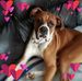 Cosmo Valente - Facebook
