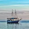 TiyiCosmo - @tiyicosmo - TikTok