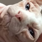Cosmo - @youngincosmo - Instagram