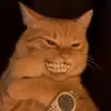 Young.cosmo - @young.cosmo - TikTok