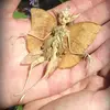 goblinhunter - @cosmosrays - TikTok