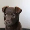 costa_brown_sugar - @costa_brown_sugar - TikTok