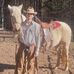 Cody Conley - Facebook