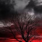 Cody Heim - Facebook