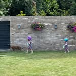 Courtney Egan - @court_egan - Instagram