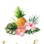 Courtney Egan - RN & Doula 🌺 - @the.little.ohana - Instagram