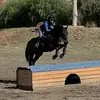 Courtney Lance - @eventer4life - TikTok