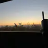 Court_leary - @courtney_leary - TikTok