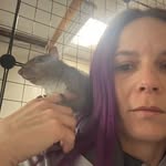 Courtney Quick - @courtney3786 - Instagram