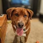 Courtney Simms - @sawyer_n_watson - Instagram