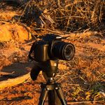 Coy Taylor Media - @coytaylormedia - Instagram