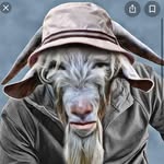 coytuck - @coytuck - Instagram