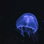 Craig Bryce Abrams - @craigbryc - Instagram