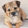 craigabrams955 - @craigabrams955 - TikTok