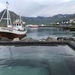 Craig Alter - @craigalter - Instagram