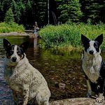 Craig Ames - @wildernessaddict406 - Instagram