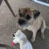 CraigArcher116 - @hoot.thewiseoldowl - TikTok