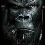 Craig Atkins - Facebook
