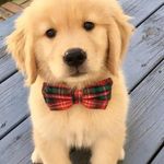 Uc - @craigbarkley6 - Instagram