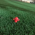 Craig Bartholomew B - @craigbartholomewofficial - Instagram