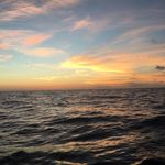 Craig Bateman - @jrlfa78 - Instagram