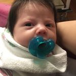 Craig Bauer - @craigfbauer - Instagram