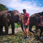 Craig Bean - @wasgornon - Instagram