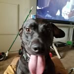 craigbean - @craigvanbean - Instagram