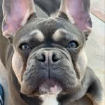 Craig Andrew Beaners - @craigandrewbeaners - Instagram