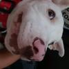 babywalter - @beebecraig - TikTok