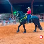 Craig Beesting - @craigbeesting - Instagram